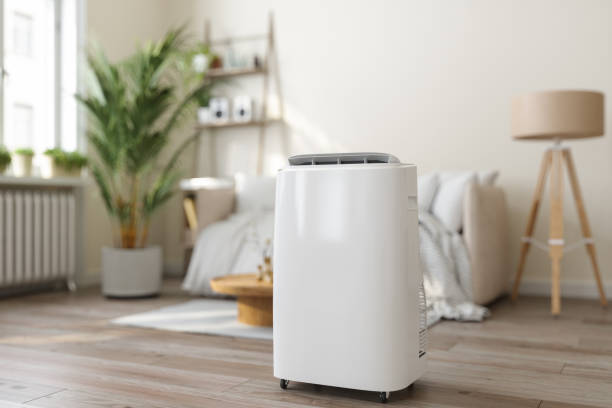 Best Ductless HVAC Repair  in Charlotte, TX